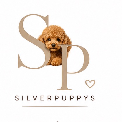 Silver Puppys